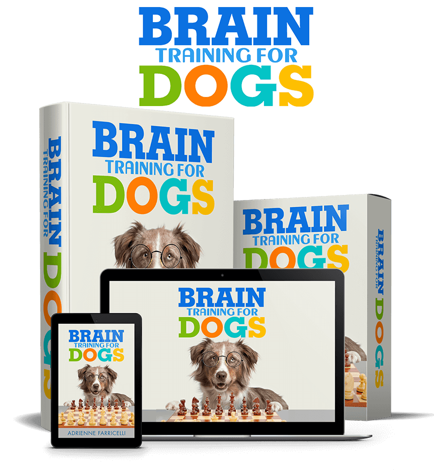 Brain-Training-for-Dogs