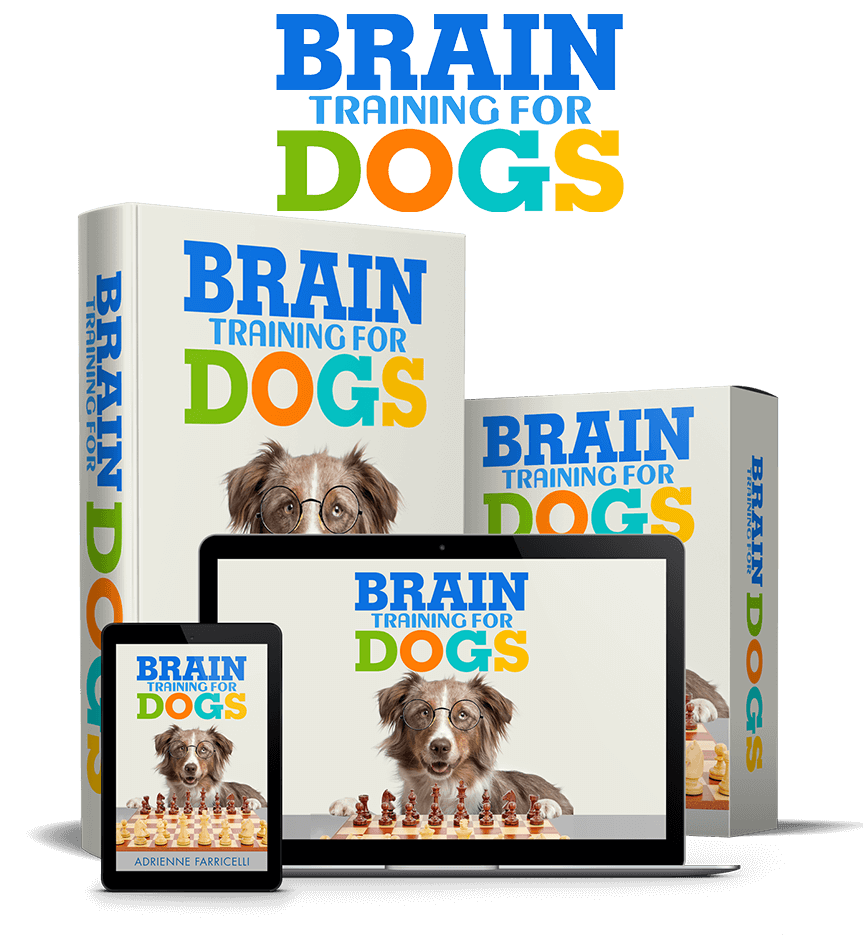 brain-training-for-dogs-review