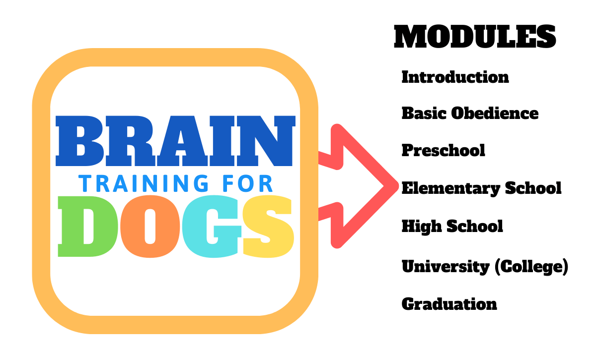 Structure for the Brain Training for Dogs Course